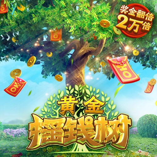 何龙海助攻段刘愚破门，西海岸1